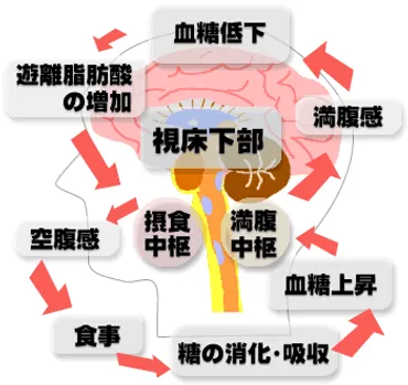 食べるのが遅い人って、実は〇〇？意外なメリットとデメリットを徹底解説！食べるのが遅い人の心理とは！？