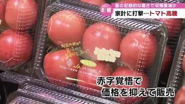 猛暑と物価高騰 ～私たちの食卓はどうなる？～(野菜・卵価格高騰の現状と対策？)記録的な猛暑、食卓への影響: 野菜と卵の価格高騰