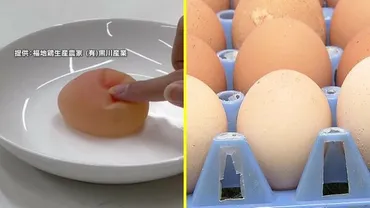 悲鳴】「エッグショック」再び？卵の卸売価格高騰…過去最高値2023年に迫る 養鶏場で異変゛夏バテ゛で卵の殻薄く  ブヨブヨの「軟卵」は「ニワトリの故障」