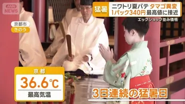 ニワトリも夏バテ…卵に異変 1パック340円で最高値に接近 「エッグショック」再来か(テレ朝NEWS)