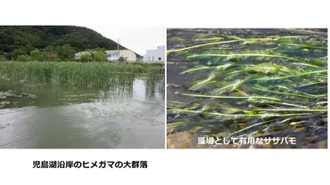 作物生産技術学 