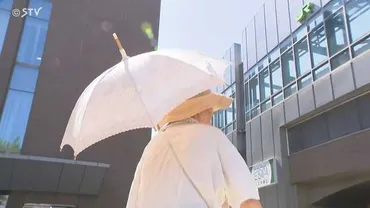 札幌市の猛暑対策「クーリングシェルター」とは？場所、期間、利用方法を徹底解説？札幌市の暑さ対策スポット「クーリングシェルター」：無料開放で熱中症から身を守る