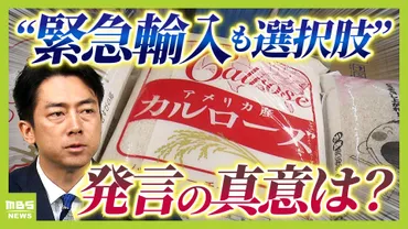 コメ価格高騰の背景と日本のコメ事情とは？コメ価格、輸入、輸出、価格高騰の要因を徹底解説！