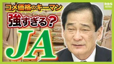 コメ価格のカギ握るＪＡは ゛強すぎる゛ ？備蓄米の９割以上を落札した巨大組織は自民党と深いつながり 『減反政策支持がコメ高騰の一因』と専門家は指摘【解説】  