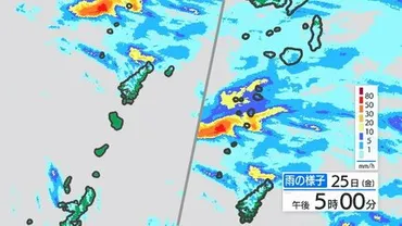 大隅 種子島・屋久島地方土砂災害に厳重警戒を 線状降水帯の可能性も 鹿児島 