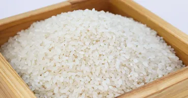 米高騰が食品業界に与える影響は?2025年、商品開発に求められる視点