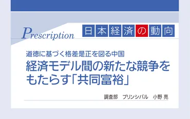 経済モデル間の新たな競争をもたらす「共同富裕」 