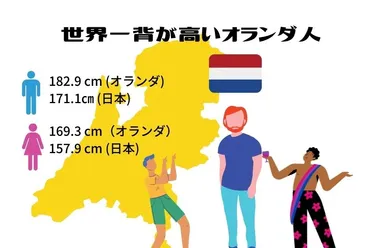 なぜ、彼らの身長は高いのか？世界一平均身長が高い国、オランダ