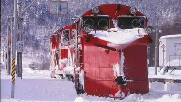 SL時代から新幹線まで｢雪と闘う鉄道｣の記憶 除雪車の豪快な活躍や｢防雪林｣が守る線路 