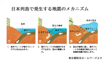 十勝沖地震の脅威と対策：過去の教訓と未来への備え？十勝沖地震：発生確率と最新の地震情報