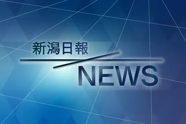 能登半島地震と自費解体：被災者のための解体支援と費用、制度について(？)能登半島地震被災者の自費解体支援：制度、費用、業者選定、補助金情報