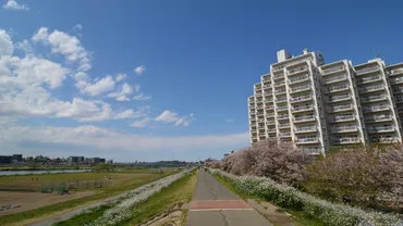 23区で一番広い大田区のおすすめの街3選！ 子育て支援充実、活気あふれる世界に近い街