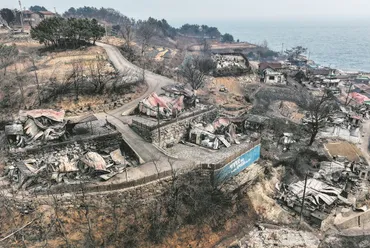 韓国の山火事、被害の全貌と文化財への影響 (？)韓国の山火事、歴史的寺院の焼失と文化財の危機