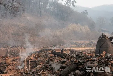 韓国・慶尚北道山火事…千年古刹・孤雲寺、残ったのはがれきだけ 写真枚 国際ニュース：AFPBB News