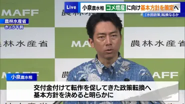 小泉農水相、コメ増産に向け基本方針を策定へ 「水田政策」転換なるか