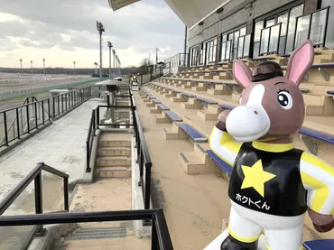 津波警報でスポーツの中止など相次ぐ…ホッカイドウ競馬は全レース取りやめ ボートは順延 高校総体にも影響