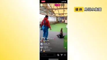 休館中「SNS」に力を入れ魅力を発信…ファン増やした鳥羽水族館 2足歩行ラッコに人だかりも