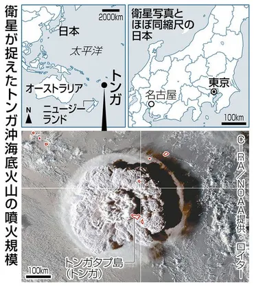 津波、23万人に避難指示 太平洋側に注意報・警報、トンガ沖噴火:中日新聞Web