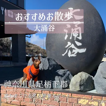 黒たまごで有名な大涌谷にいってきたよ🥚 