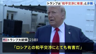 和平交渉にとても有害」トランプ氏がゼレンスキー大統領の発言を非難 ロシアの「クリミア領有」容認の和平案をウクライナが拒否 