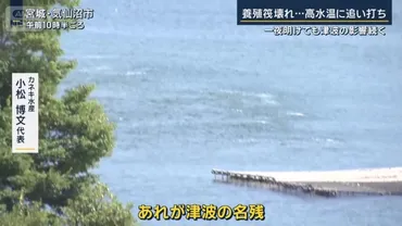 また来るのでは…トラウマに」カキ養殖筏壊れ…高水温に追い打ち 津波の影響続く（テレ朝NEWS）