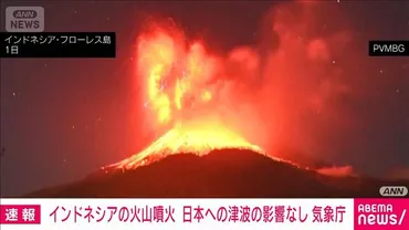 速報】インドネシア・レウォトビ山の大規模噴火 日本への津波の影響なし 気象庁 