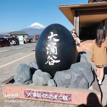 黒たまごで7年寿命延長?大涌谷の魅力