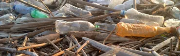 プラスチック条約交渉が最終段階へ：地方自治体の役割は？（INC