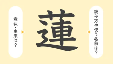 蓮」の意味や由来は？名前に込められる思いや名付けの例を紹介！ 