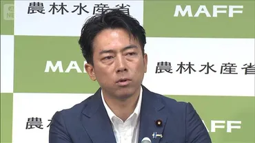 農水省の関税措置対策チーム初会合 「輸出の維持・拡大後押し」小泉大臣