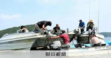 津波被害のカキ養殖イカダ、三重県鳥羽市で補修開始 カキ被害は軽微 三重県:朝日新聞
