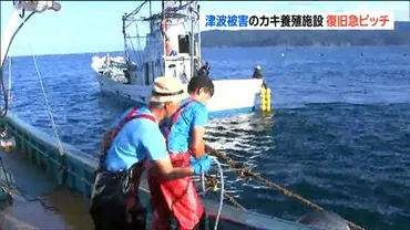 津波でカキ養殖いかだが被害 台風9号接近前に復旧急ピッチ 宮城・石巻市
