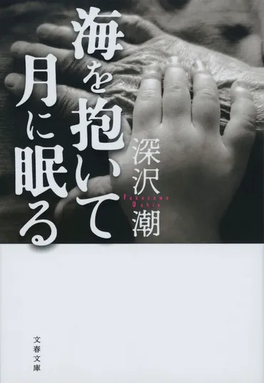 自らのルーツを問い直す渾身の一作『海を抱いて月に眠る』深沢潮