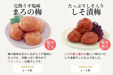 紀州南高梅干しのお試しセット 50g×4種類(まろの梅・はちみつ梅・しそ漬梅・旨味かつお梅)(紀南): ココ・カラ。和歌山マルシェ
