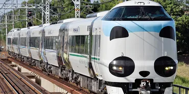鉄道運行を揺るがすカメ騒動！御坊駅で相次ぐ遅延の原因は？（カメ、JR、御坊駅）カメが引き起こす鉄道遅延の真相