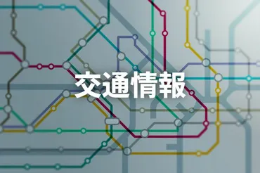 信号機が切り替わらない…原因はカメ 電車運休や遅れ900人に影響(朝日新聞)