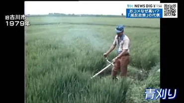 おコメが高い!令和のコメ騒動…火種は昭和に?半世紀に及ぶ゛減反政策゛の代償「需給管理は綱渡り。何かあるとすぐコメ不足に陥る可能性があった」