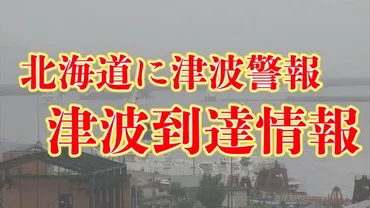 速報】北海道・津波到達 根室市花咲 午前10時30分 30cmメートル(HTB北海道ニュース)