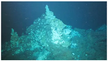 日本の海底熱水鉱床：金銀含む資源発見ラッシュ！今後の資源開発への期待？JOGMEC、産総研の調査から見えた日本の海底資源の可能性