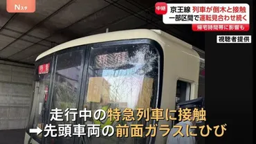 京王線の特急列車が倒木に接触 先頭車両の前面ガラスにひび 一部区間で運転見合わせ つつじヶ丘駅〜仙川駅間で線路近くの木が倒れる（TBS NEWS  DIG）