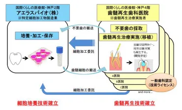 エア・ウォーターと歯愛メディカルの提携、TOB(株式公開買付)とは？ 株主は今どうする？エア・ウォーターによる歯愛メディカルへのTOB、その背景と株主の選択肢