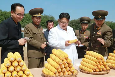 飢えた人民は金正恩も恐れない、頻発する穀物泥棒が意味すること 三重苦の食料供給網、北朝鮮の食糧不足は昨年を上回る可能性大(1/4)