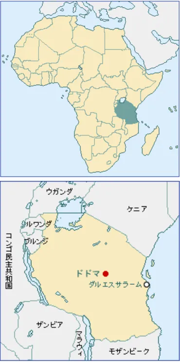 帰国大使は語る〉 多様性を乗り越えて国家建設に励むタンザニア – 一般社団法人 霞関会