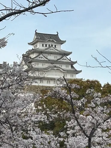 姫路城がもっと便利に!令和7年4月1日からデジタルチケット導入決定!