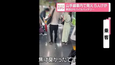 JR山手線車内で発火、5人ケガ 原因はモバイルバッテリー(日テレNEWS NNN)