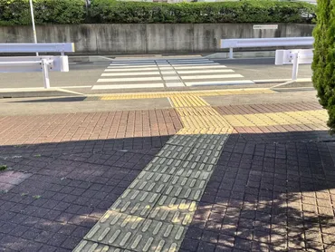 点字ブロックとは?日本発祥の歴史や使い方、設置ガイドラインを紹介