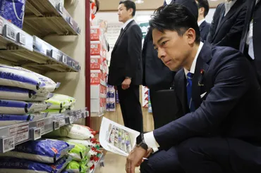 コメ価格高騰の裏側：小泉農林水産相の対応とJA・流通構造の問題点？2024年コメ価格高騰の真相と今後の展望