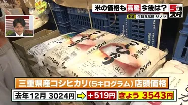 『令和の米騒動』米価格高騰の要因と、私たちへの影響とは？記録的な猛暑と需要の増加による米価高騰の現状