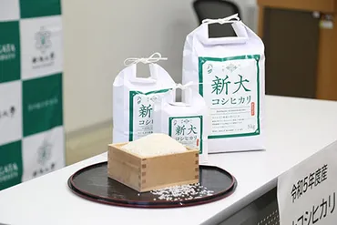本学が開発した水稲品種『新大コシヒカリ』令和5年度実証実験の報告記者会見を行いました