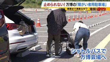 いつも満車で予約取れない。調べて!」万博の障がい者用駐車場...取材すると『閉幕日まで終日満車』なぜ1日200台しか止められない?